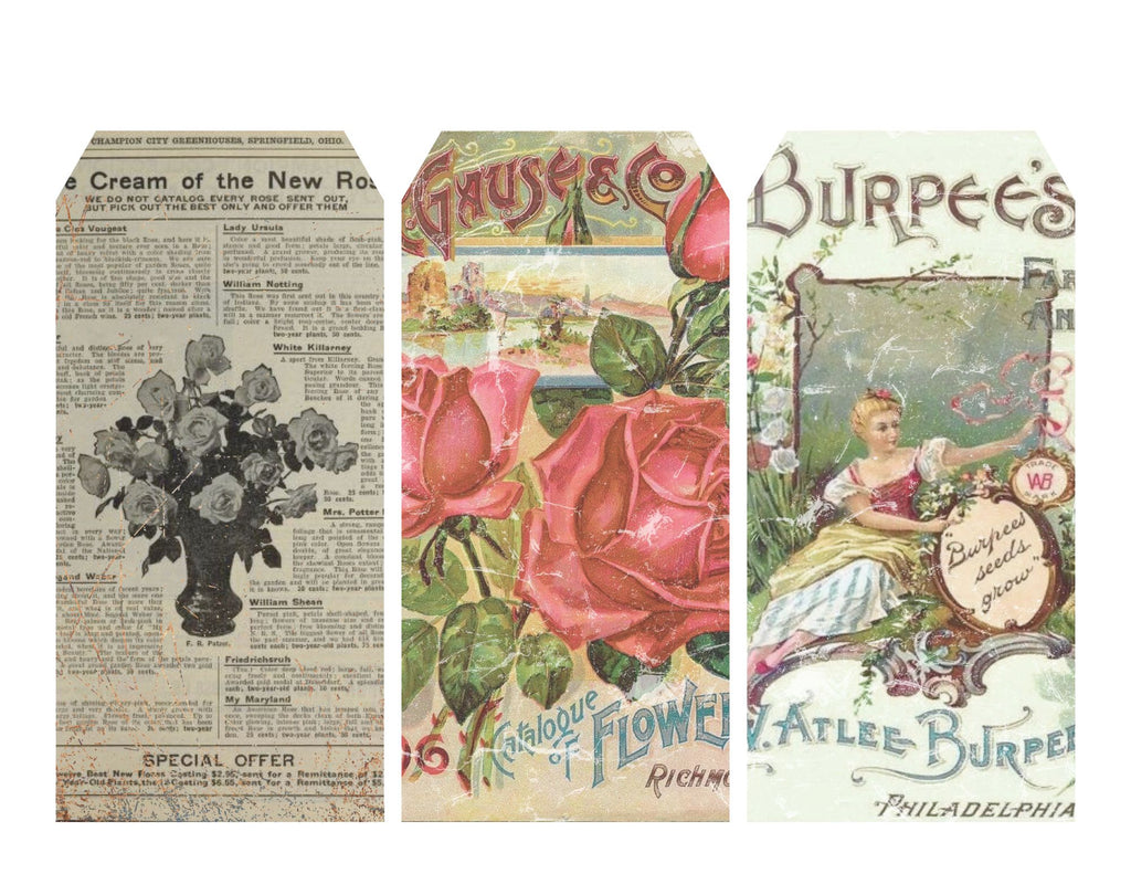 La Roseraire Jardin Ephemera
