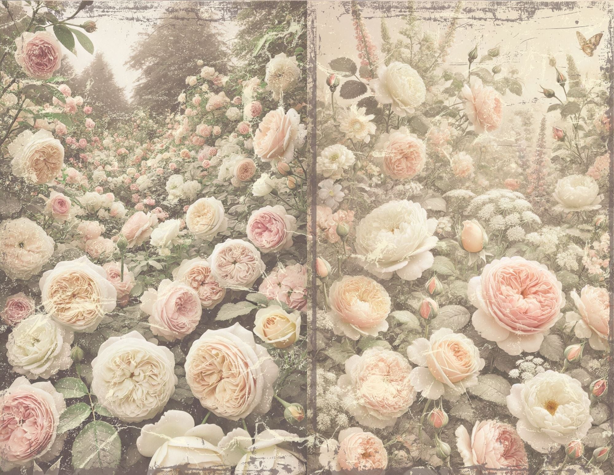 La Roseraire Jardin kit