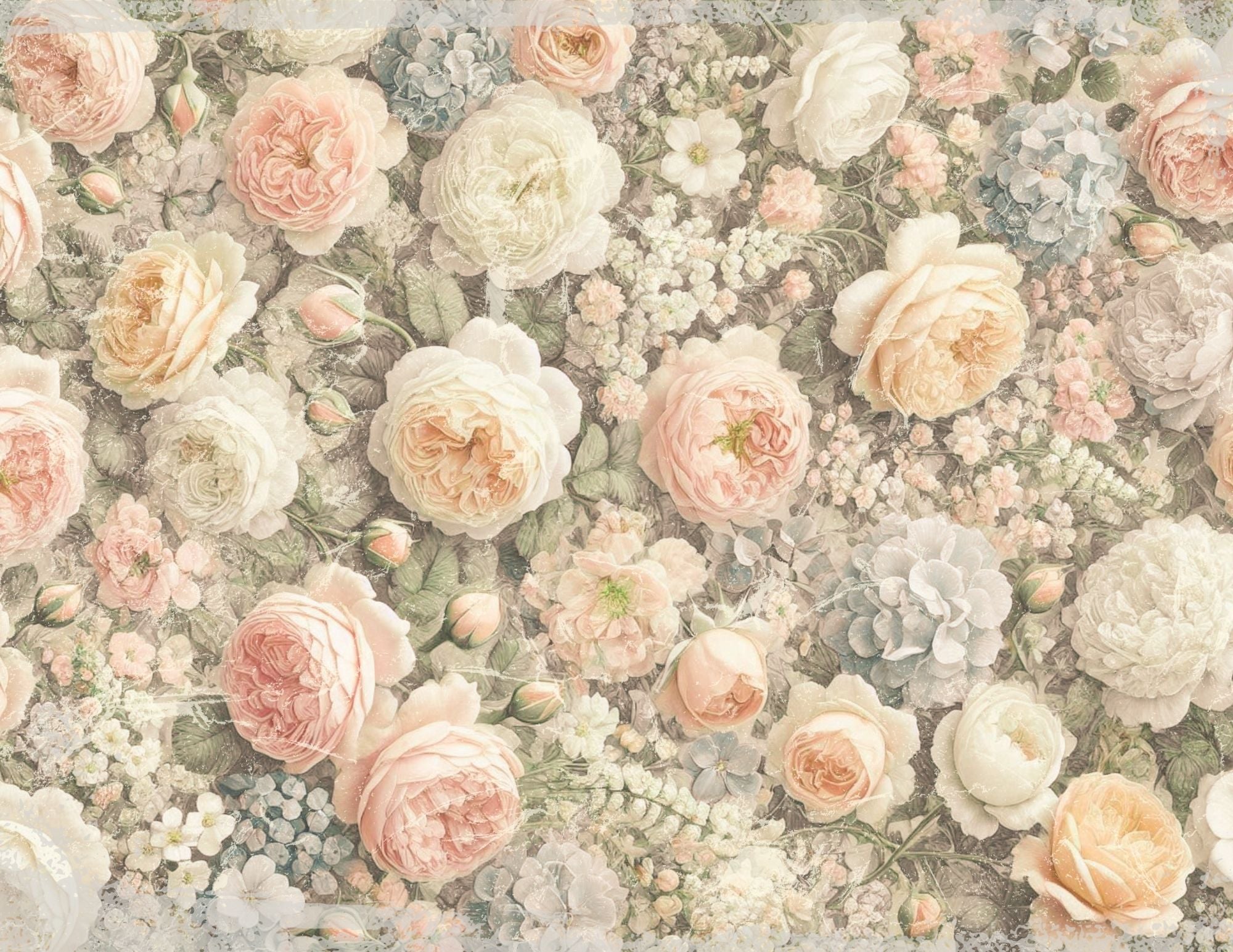 La Roseraire Jardin kit
