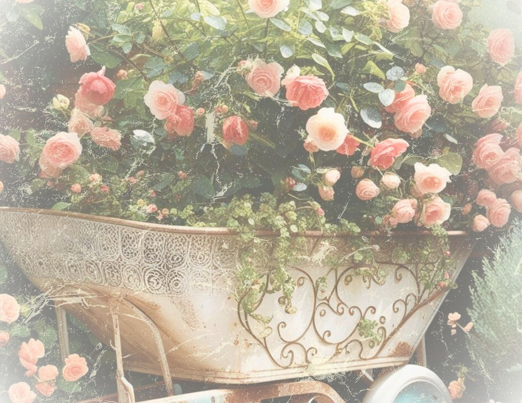 La Roseraire Jardin kit