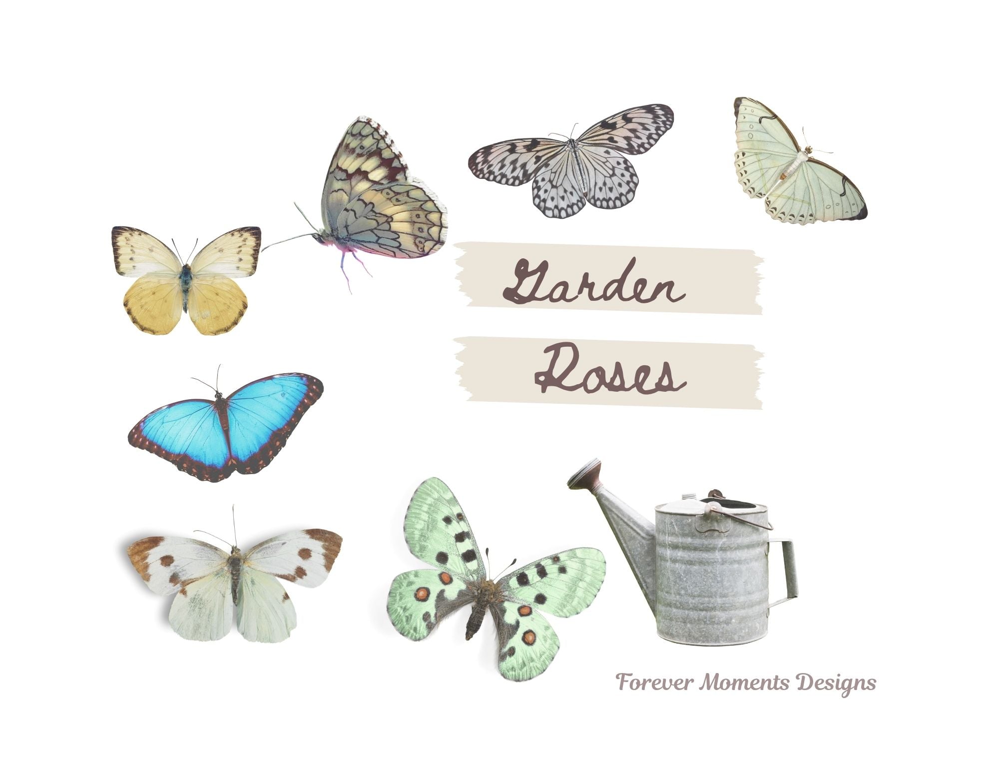 La Roseraire Jardin Ephemera