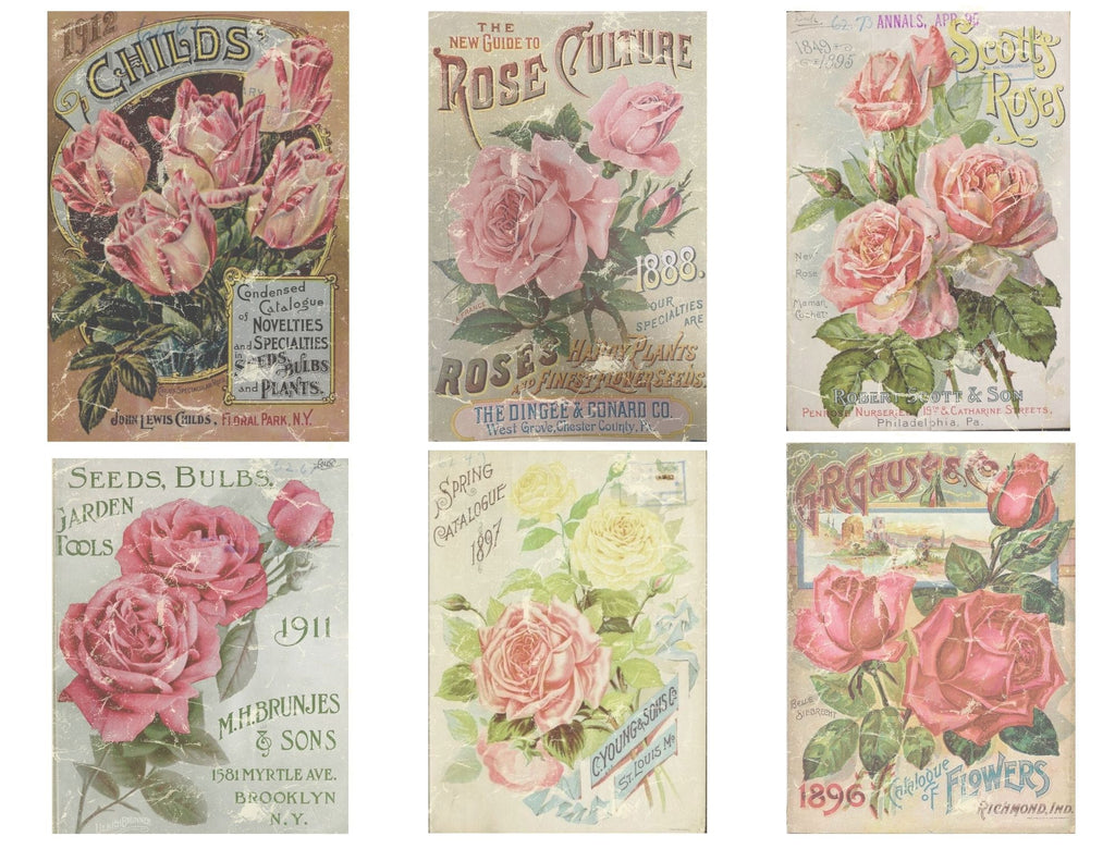 La Roseraire Jardin Ephemera