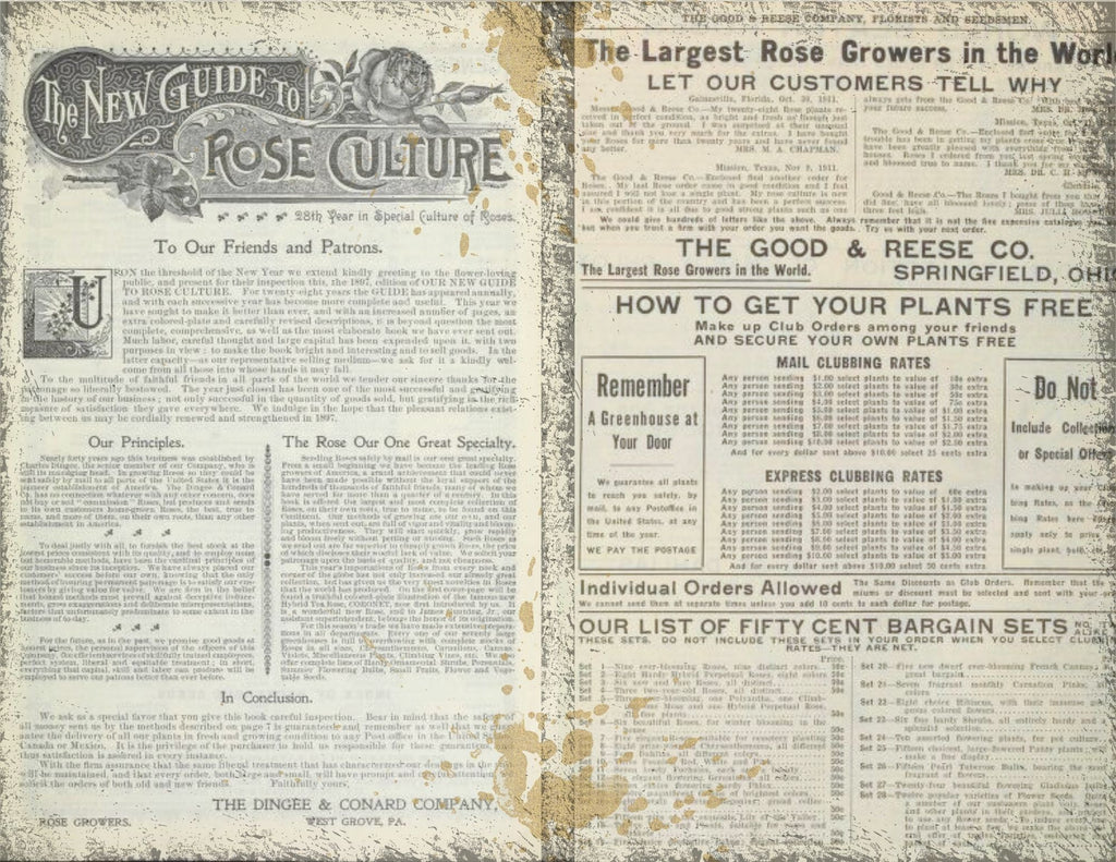 La Roseraire Jardin kit