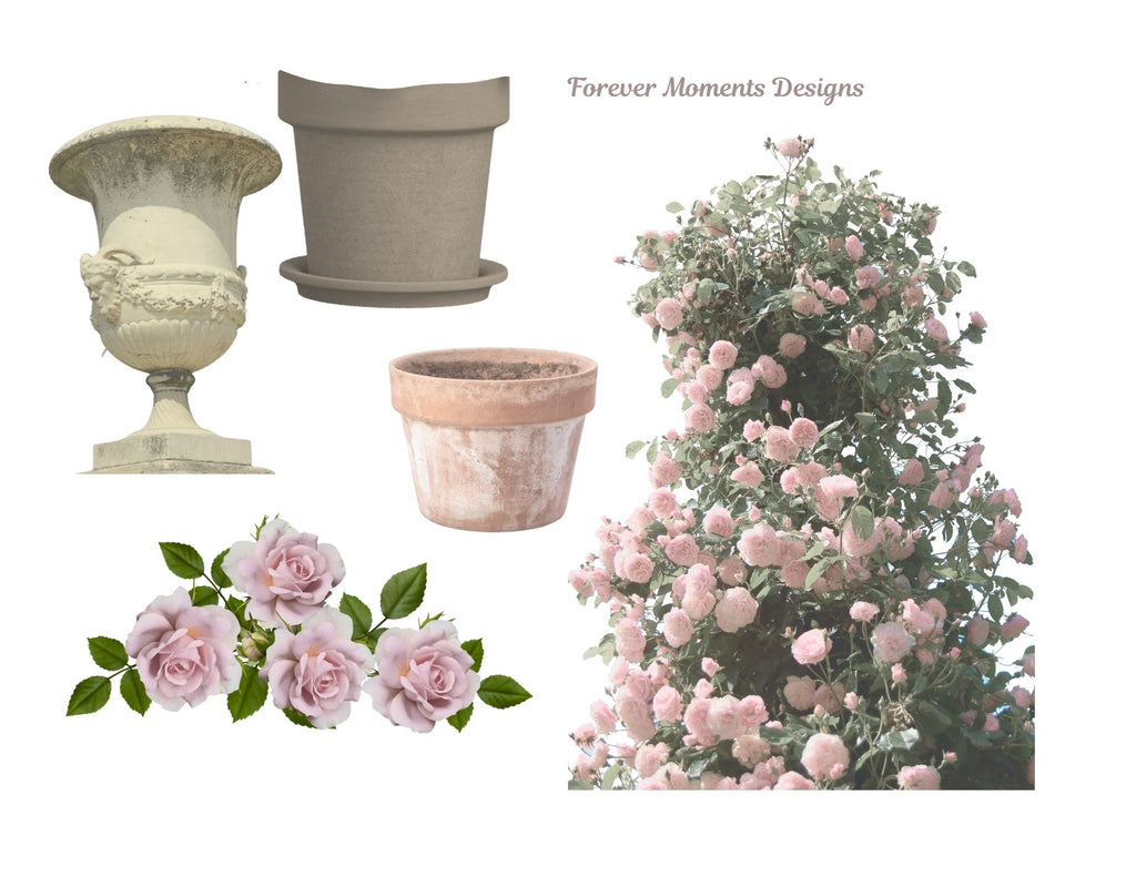 La Roseraire Jardin Ephemera